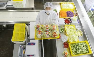 連外資公司都沒成功的完美蔬菜,他在中國種出了!